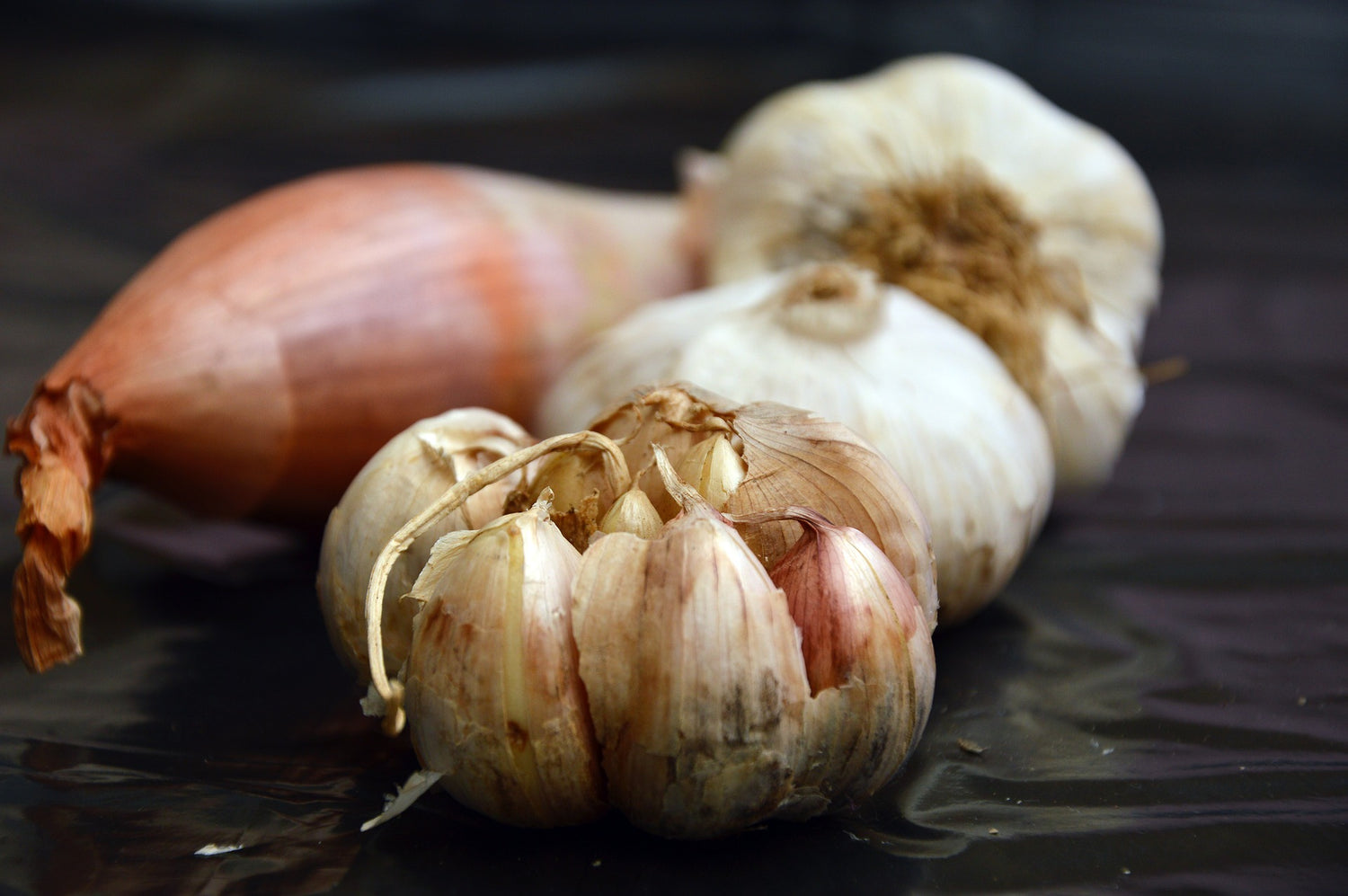 Garlic & Onion Gourmet